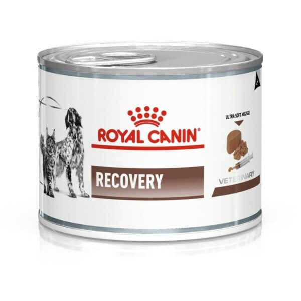 Royal Canin Recovery Can for Dogs and Cats