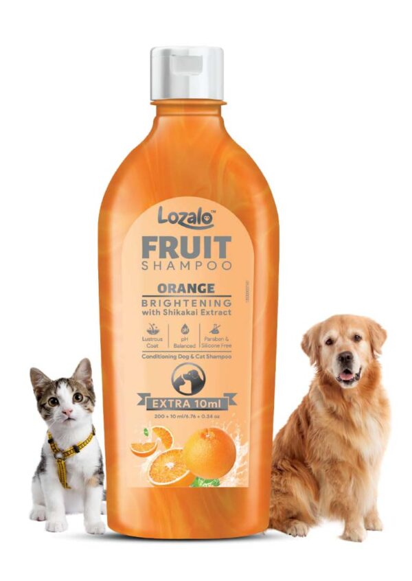 LOZALO BRIGHTENING FRUIT PET SHAMPOO