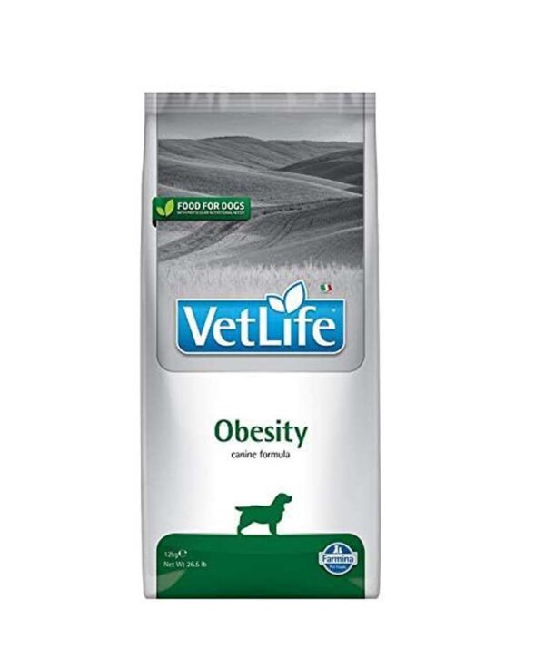 FARMINA VET LIFE DOG OBESITY